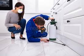 Best Residential Pest Control  in Adrian, MN